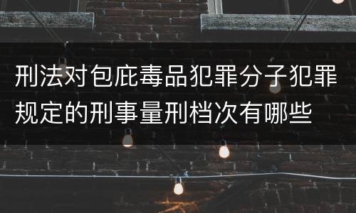 刑法对包庇毒品犯罪分子犯罪规定的刑事量刑档次有哪些
