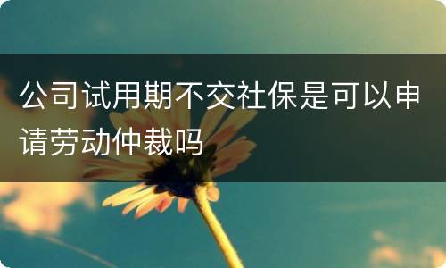 公司试用期不交社保是可以申请劳动仲裁吗