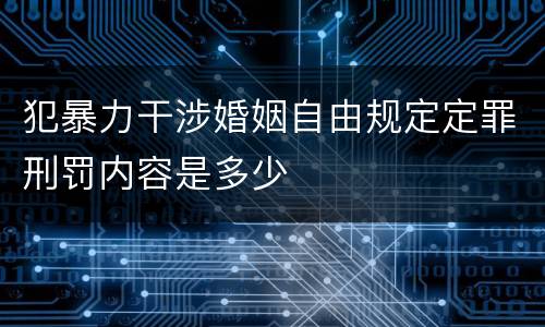 犯暴力干涉婚姻自由规定定罪刑罚内容是多少