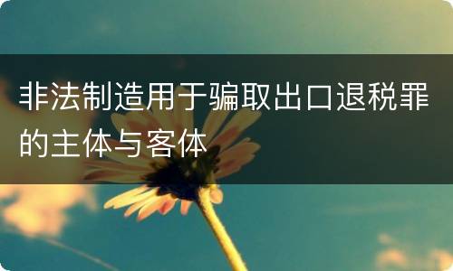 非法制造用于骗取出口退税罪的主体与客体