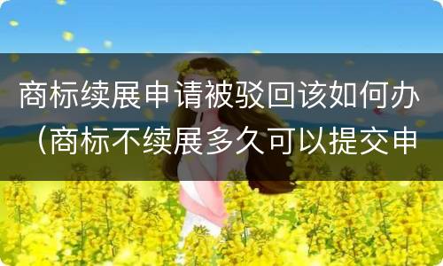 商标续展申请被驳回该如何办（商标不续展多久可以提交申请）