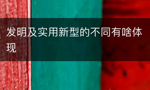 发明及实用新型的不同有啥体现