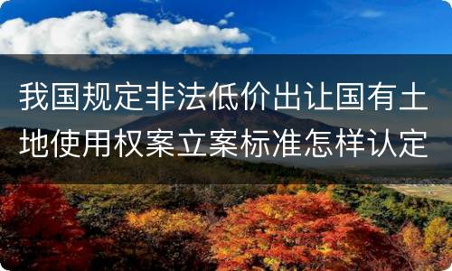 我国规定非法低价出让国有土地使用权案立案标准怎样认定