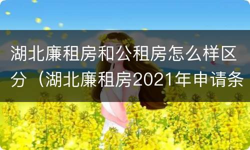 湖北廉租房和公租房怎么样区分（湖北廉租房2021年申请条件）