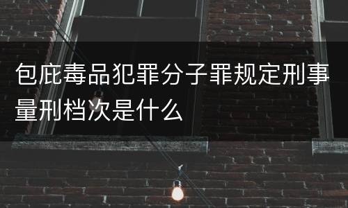包庇毒品犯罪分子罪规定刑事量刑档次是什么