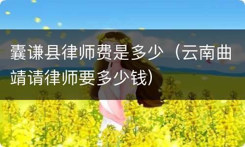 囊谦县律师费是多少（云南曲靖请律师要多少钱）