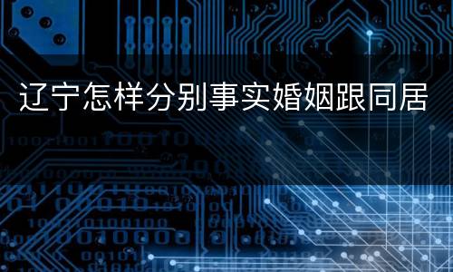 辽宁怎样分别事实婚姻跟同居