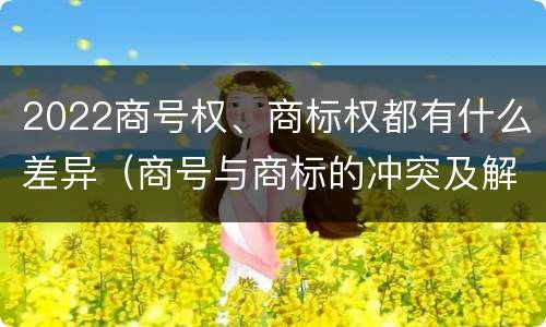 2022商号权、商标权都有什么差异（商号与商标的冲突及解决措施）