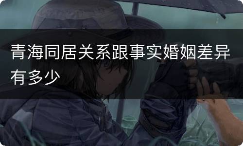 青海同居关系跟事实婚姻差异有多少