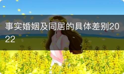 事实婚姻及同居的具体差别2022