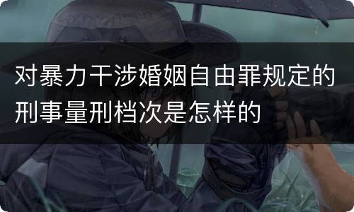 对暴力干涉婚姻自由罪规定的刑事量刑档次是怎样的