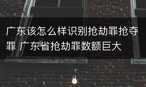 广东该怎么样识别抢劫罪抢夺罪 广东省抢劫罪数额巨大