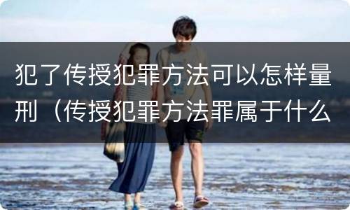 犯了传授犯罪方法可以怎样量刑（传授犯罪方法罪属于什么罪）