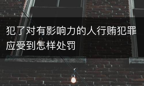 犯了对有影响力的人行贿犯罪应受到怎样处罚