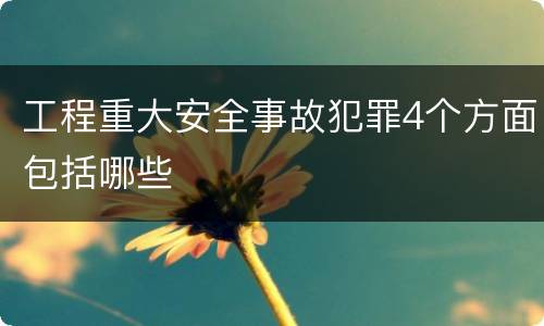 工程重大安全事故犯罪4个方面包括哪些
