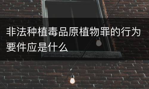 非法种植毒品原植物罪的行为要件应是什么