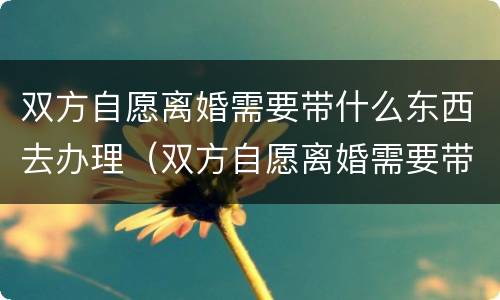 双方自愿离婚需要带什么东西去办理（双方自愿离婚需要带什么东西去办理离婚）
