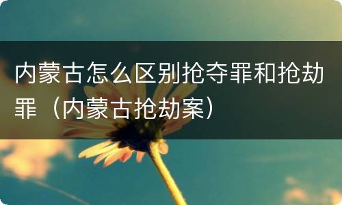 内蒙古怎么区别抢夺罪和抢劫罪（内蒙古抢劫案）