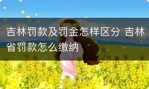 吉林罚款及罚金怎样区分 吉林省罚款怎么缴纳