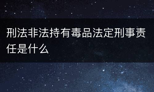 刑法非法持有毒品法定刑事责任是什么