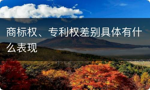 商标权、专利权差别具体有什么表现
