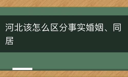 河北该怎么区分事实婚姻、同居