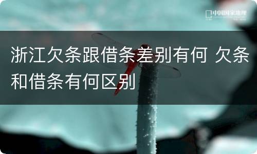 浙江欠条跟借条差别有何 欠条和借条有何区别