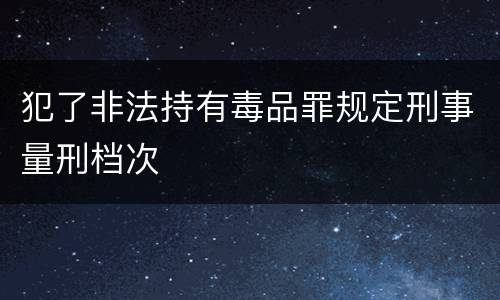 犯了非法持有毒品罪规定刑事量刑档次