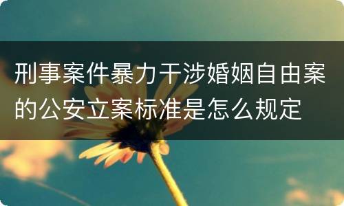 刑事案件暴力干涉婚姻自由案的公安立案标准是怎么规定