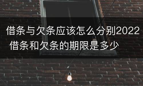 借条与欠条应该怎么分别2022 借条和欠条的期限是多少