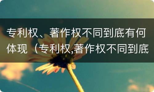 专利权、著作权不同到底有何体现（专利权,著作权不同到底有何体现和影响）