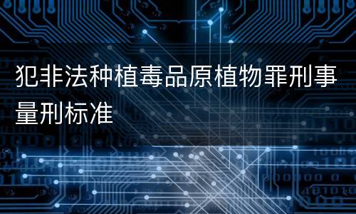 犯非法种植毒品原植物罪刑事量刑标准