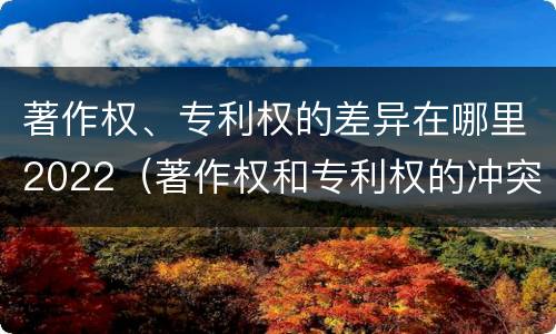 著作权、专利权的差异在哪里2022（著作权和专利权的冲突）