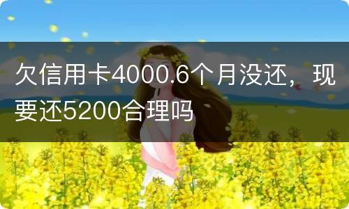 欠信用卡4000.6个月没还，现要还5200合理吗