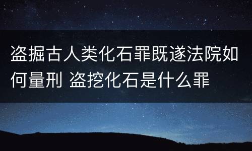 盗掘古人类化石罪既遂法院如何量刑 盗挖化石是什么罪