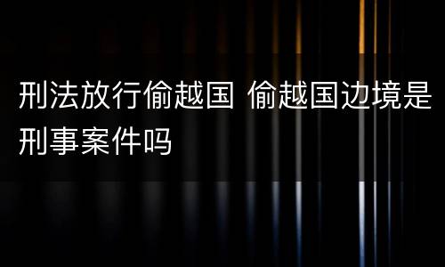 刑法放行偷越国 偷越国边境是刑事案件吗