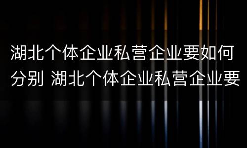湖北个体企业私营企业要如何分别 湖北个体企业私营企业要如何分别注册