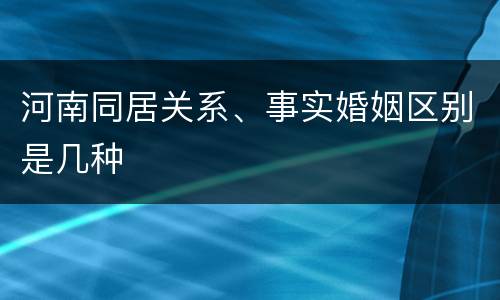 河南同居关系、事实婚姻区别是几种