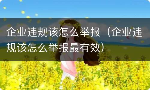 企业违规该怎么举报（企业违规该怎么举报最有效）