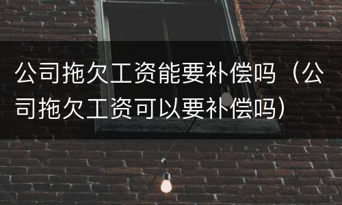 公司拖欠工资能要补偿吗（公司拖欠工资可以要补偿吗）