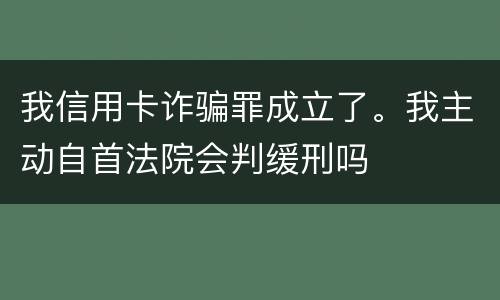 我信用卡诈骗罪成立了。我主动自首法院会判缓刑吗