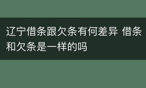 辽宁借条跟欠条有何差异 借条和欠条是一样的吗