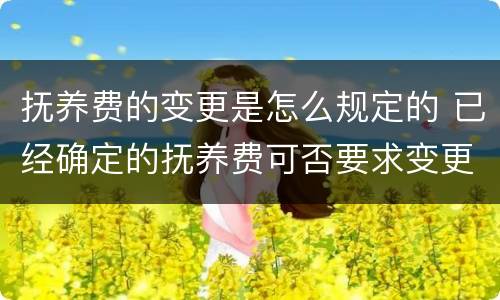 抚养费的变更是怎么规定的 已经确定的抚养费可否要求变更