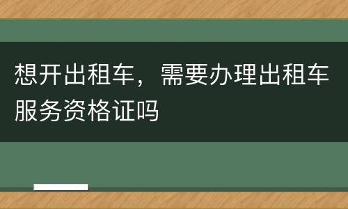 想开出租车，需要办理出租车服务资格证吗