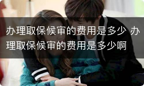 办理取保候审的费用是多少 办理取保候审的费用是多少啊