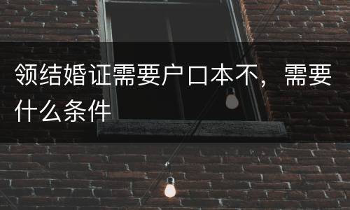领结婚证需要户口本不，需要什么条件