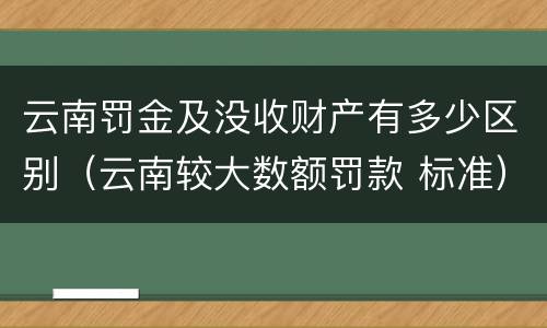 云南罚金及没收财产有多少区别（云南较大数额罚款 标准）