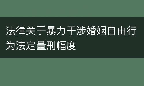 法律关于暴力干涉婚姻自由行为法定量刑幅度