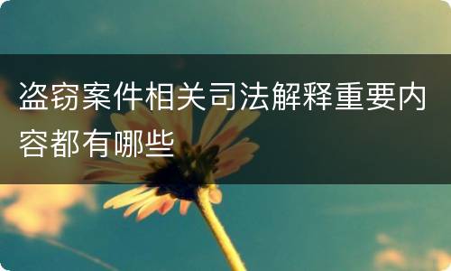 盗窃案件相关司法解释重要内容都有哪些