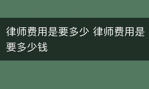 律师费用是要多少 律师费用是要多少钱